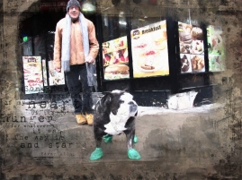 A dog wearing rain boots