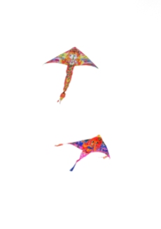 IMG_1819 7D kites