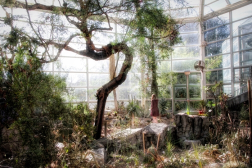 Botanical Gardens Conservatory