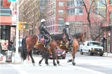 20180411 IMG_1616 7D Mounted NYPD sm